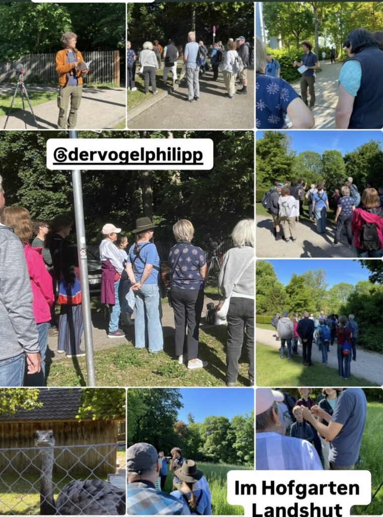Vogelstimmenwanderung: Impressionen Teil 3