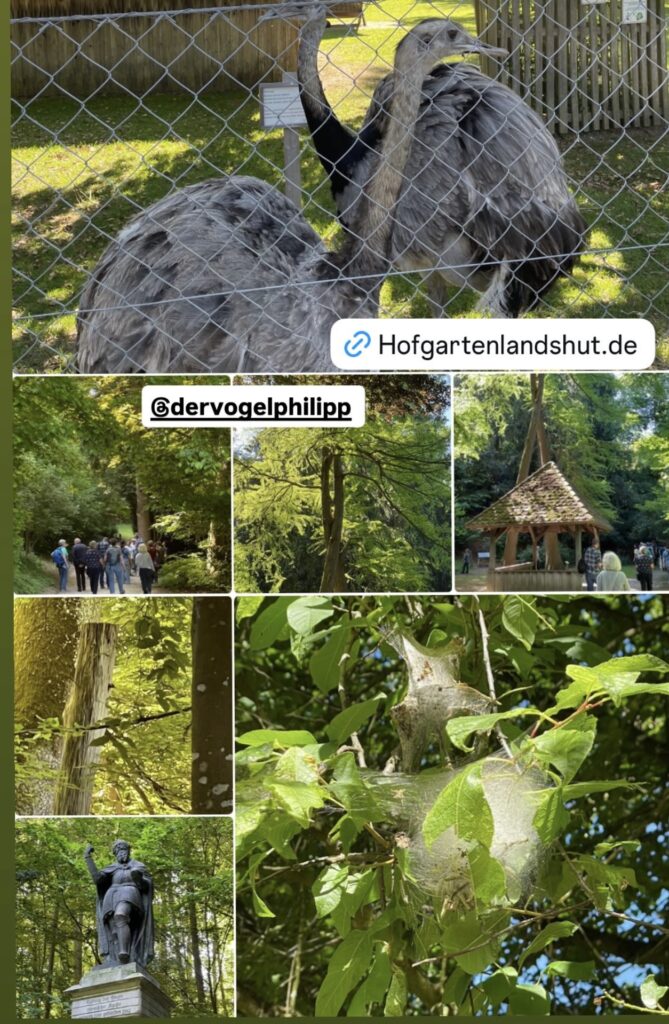 Vogelstimmenwanderung: Impressionen Teil 2